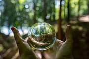 Hands hold a glass sphere that reflects a green forest, symbolising environmental awareness and sustainability